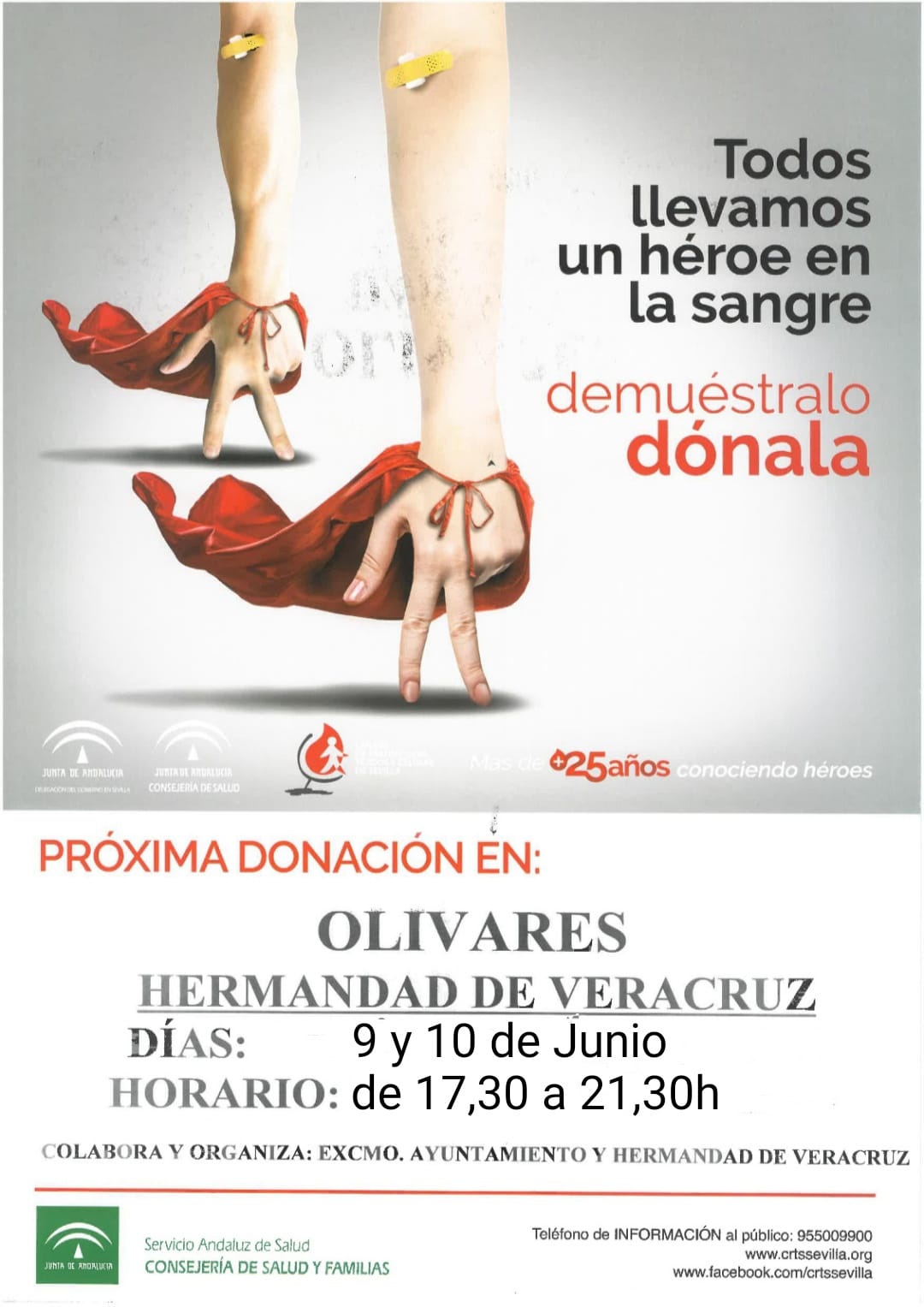 donacion sangre