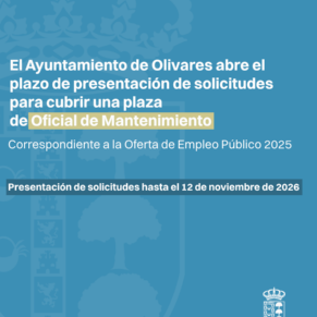 OFICIAL DE MANTENIMIENTO : OEP 2025