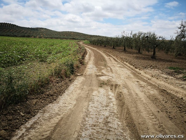 6670