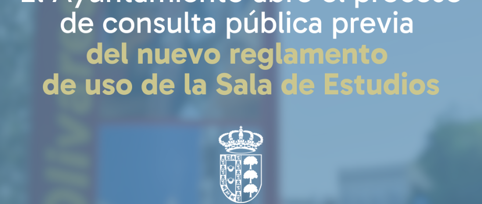 IMAGEN WEB CONSULTA O4RDENANZA SALA ESTUDIOS