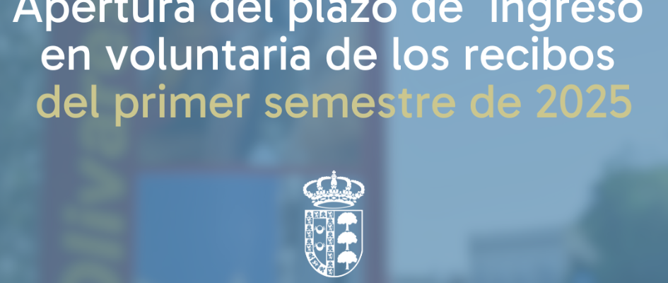 IMAGEN WEB PAGO VOLUNTARIA