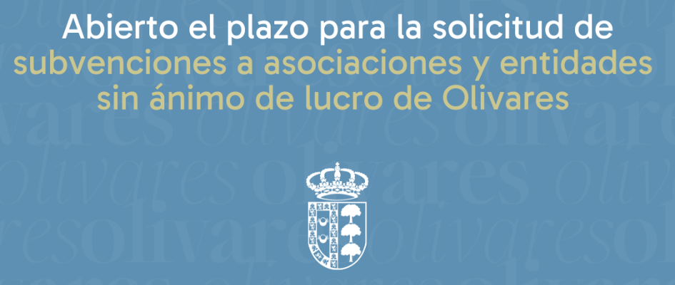 imagen web subvenciones asociaciones